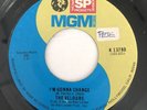 The Velours - I’m Gonna Change - Northern Soul