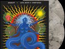 DeWolff Love, Death & In Between (Vinyl)