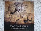 TWO GALLANTS WHAT THE TOLL TELLS DOUBLE VINYL LP MINT CONDITION