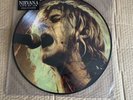 Nirvana - WHITE TRASH LIMITED EDITION - Picture Disc - Never played/Mint KRT22