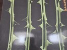 Type O Negative – October Rust (1996) Roadrunner – RR 8874-1 2xLP
