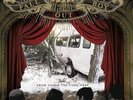 Fall Out Boy From Under the Cork Tree (Vinyl) 12