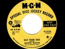PSYCH/GARAGE-MARTIN MARTIN-SILLY POOR SOUL/PRESS RIGHT HERE-MGM 13734