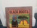 Black Roots In Session