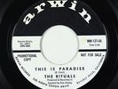 Garage 45 - Rituals - This Is Paradise/Gone - Arwin