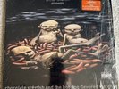 Limp Bizkit Chocolate Starfish And The Hot Dog Flavored Water - EX 2 x Vinyl LP