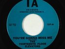 Garage Psych 45 - Thirteenth Floor Elevators - You're Gonna Miss Me - IA VG+