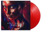 Afro Medusa Pasilda LTD 12
