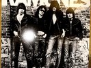Ramones - Ramones - Vinyl LP  1976/2011