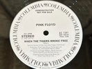 PINK FLOYD PROMO 12' WHEN THE TIGERS BROKE FREE COLUMBIA AS 1541 MINT