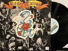 Rose Tattoo – Rose Tattoo LP 1980 Mirage – WTG 19280 VG/VG+ [Promo]