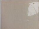 The Beatles White Album Vinyl LP with Inserts - Collectors Item