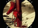 Kate Bush The Red Shoes (Vinyl) 12
