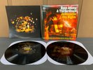 Ryan Adams and The Cardinals Jacksonville City Nights 2xLP Vinyl (2005) Lost Hwy