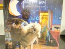 Fall Out Boy Infinity On High Rare Limited Ed. 15th Anniv. Glitter Blue Vinyl LP