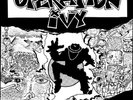 Operation Ivy Energy LP vinyl USA Hellcat 2010 with insert 868931