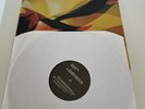 Depeche Mode Dream On Promo 12” Vinyl Bushwacka Mixes P12BONG30