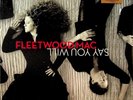 FLEETWOOD MAC- Say You Will 2-LP (SEALED** 2018 Vinyl) 2003 Album/Peacekeeper