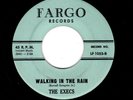 NYC DOOWOP-EXECS-WALKING IN THE RAIN/PALLADIUM-FARGO 1055