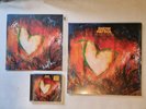 Snow Patrol- The Forest Is The Path - Red Gold Double Vinyl, Cd + Signed Card
