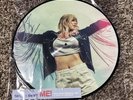 Taylor Swift Picture Vinyl ME  Featuring Brendon Urie at Panic  at The Disco 12