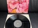 STILL LIFE / Same -LP- Vinyl:EX/ Cover:VG++ / 1st.D Press 1971 - VERTIGO SWIRL-