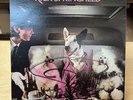 Rick Springfield Success Hasn't Spoiled Me Yet LP SIGNED Vinyl 1982 Autographed