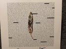 Bear's Den So That You Might Hear Me vinyl Lp- HAND SIGNED BY BOTH , Near Mint