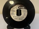 Larry Bright (Tide) Way Down Home/Bloodhound ￼