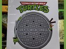 Teenage Mutant Ninja Turtles – Let's Kick Shell EP On Tubular Turtle Swirl Vinyl