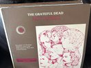 Grateful Dead Hot As Hell LP