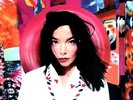 Bjork Post Records & LPs New