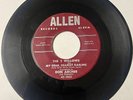 5 Willows DOO WOP 45 My Dear Dearest Darling / Rock Little Francis ALLEN VG HEAR