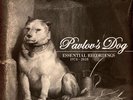Pavlov's Dog - Essential Recordings 1974-2018 5 Box (2024 - EU - Original)