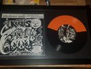 house of krazees wash/asylum 7