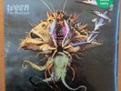 Ween- The Mollusk