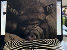 Kin Ping Meh , No 2, Krautrock orig germ. 1st.Press Zebra 1972 +OIS