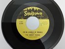 THE SWEET THINGS - I`M IN A WORLD OF TROUBLE / BABY`S BLUE - US ( REPRO )