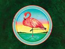 Christopher Cross Christopher Cross Vinyl LP Pink 2024 NEW