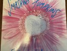 Smashing Pumpkins Siva / Window Paine Vinyl 1991 12” 5000 ONLY  Gish