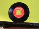 VHTF GARAGE PROMO 45 The Rites Of Spring Parkway 109 Why/Comin On Back To Me VG+