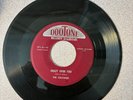 doo wop THE CALVANES 