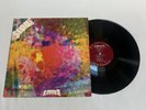 The Litter $100 Rare 1st Pressing Psych Rock Psychedelic Garage Vinyl LP 1968