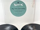 Bjork Big Time Sensuality (Remixes) Vinyl 1993 Special 2-12