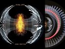 Pearl Jam Dark Matter Zoetrope Blood Records Exclusive Limited /1000 - PRESALE