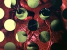 David Byrne - Rei Momo LP (VG+/VG+) '*