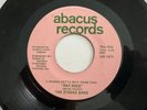 Obscure Garage Power Pop 45 / The Stroke Band 