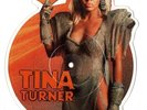 NM  Tina Turner ‎We Don't Need Another Hero Thunderdome Shaped Picture Disc 1985