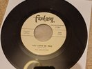Golliwogs - You Can't Be True / You've Got Nothing On Me - Rare NM US Garage 45