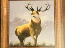 Killdozer - Twelve Point Buck, 33rpm 12